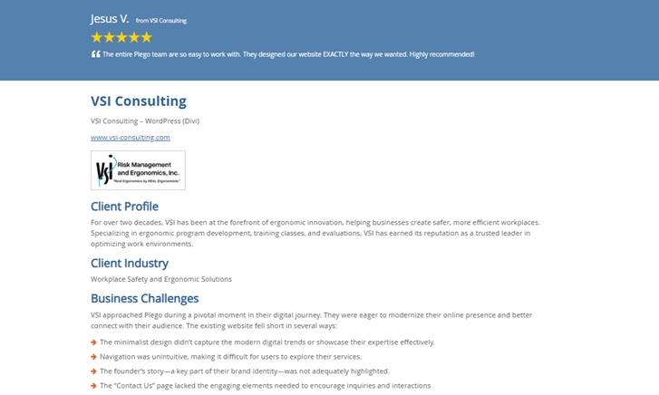 VSI Consulting webpage overview with client profile, industry focus, and business challenges listed for improved digital presence.